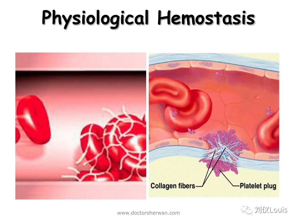 d607a8350acb0fe1bf2053375b009114.jpg d607a8350acb0fe1bf2053375b009114.jpg