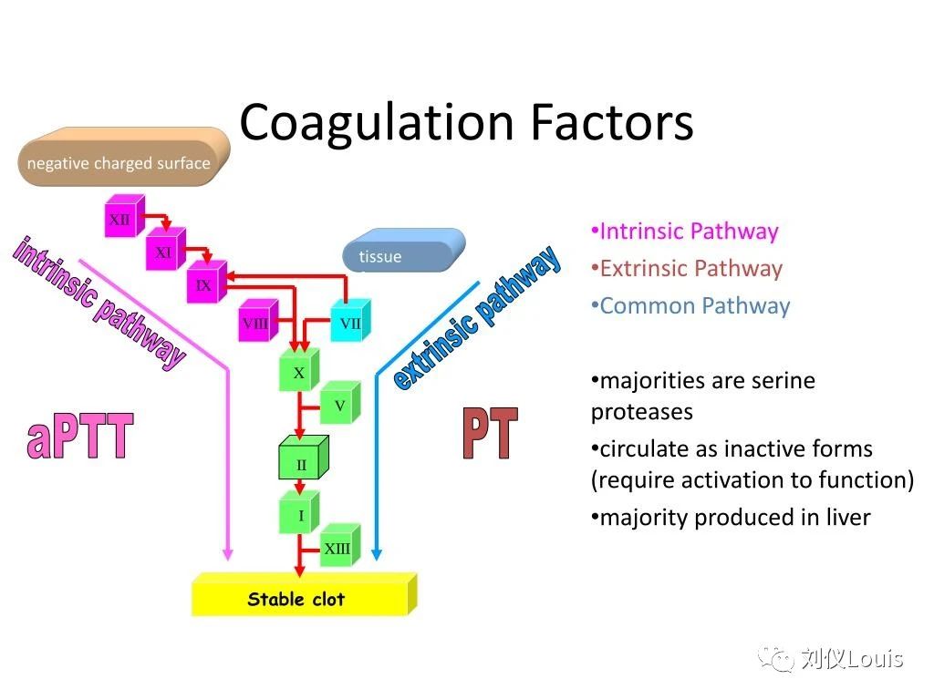 79742c7fb167b0e56f8981328af4f881.jpg 79742c7fb167b0e56f8981328af4f881.jpg