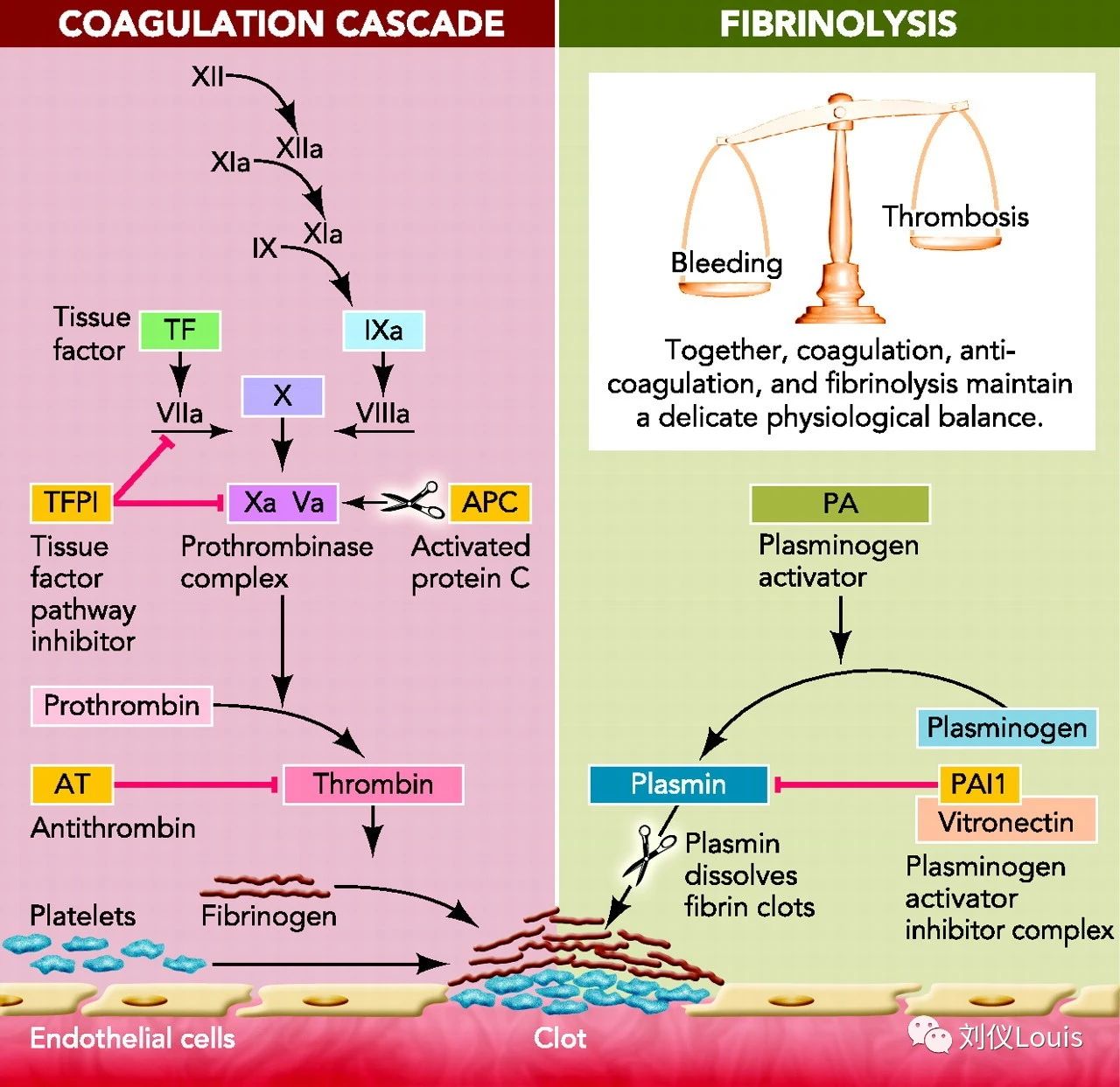 362895b1af369875086575fabe0cde9b.jpg 362895b1af369875086575fabe0cde9b.jpg