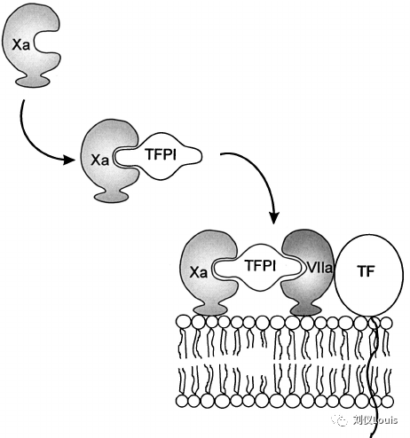 f58cf9497fbcb782d40799627a36b03a.png f58cf9497fbcb782d40799627a36b03a.png