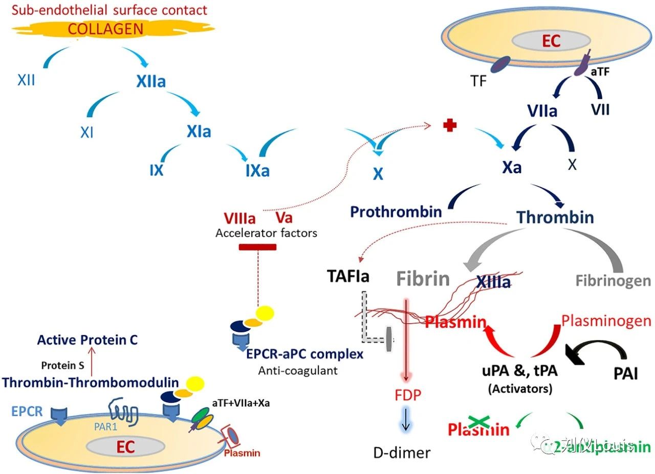 0c482343d6792631ad81ccd34b59356d.jpg 0c482343d6792631ad81ccd34b59356d.jpg