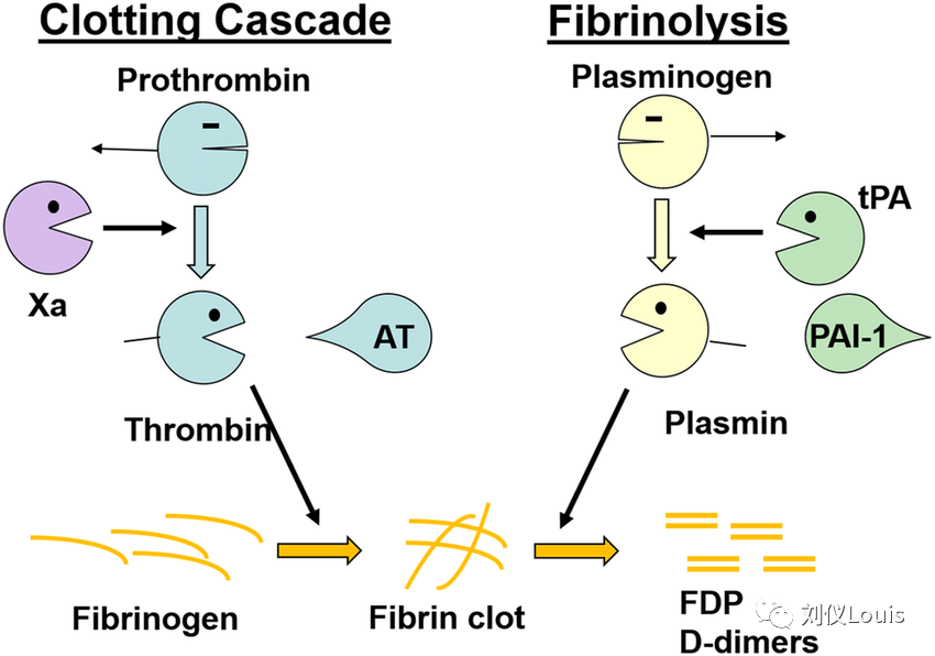 c561fdc01e09898f98fa0a55c19245e7.png c561fdc01e09898f98fa0a55c19245e7.png