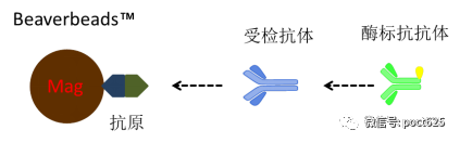 2dafec6bb5e8ac50266517761d940578.png 2dafec6bb5e8ac50266517761d940578.png