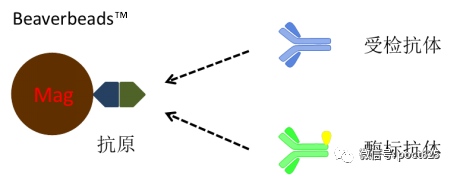 5bdafc0f054f26202816d8e9701920ca.png 5bdafc0f054f26202816d8e9701920ca.png